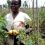 Why Africa’s Institutions Must Turn Knowledge and Investment into Farmer Prosperity