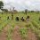Making Smallholder Agriculture Visible to Finance