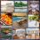 Tourvest acquires Wild Frontiers Uganda assets in major tourism sector consolidation