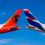 TAAG opens 57 Brazilian Destinations Through LATAM Codeshare