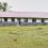 Equity Financing Helps Vurra Secondary School turn Enrolment Pressure into Growth Opportunity