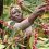 Uganda Seeks to Calm Coffee, Cocoa Markets as Global Prices Fluctuate on Positive Sentiment